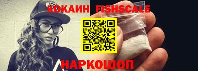 крисы Пенза