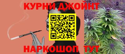 крисы Пенза