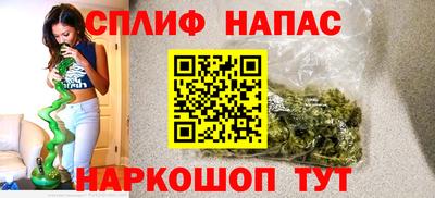 крисы Пенза