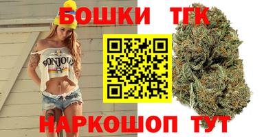 крисы Пенза