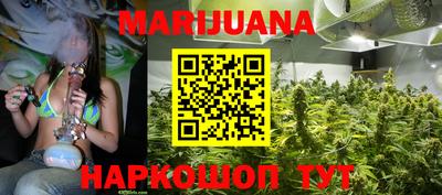 крисы Пенза