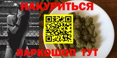 крисы Пенза