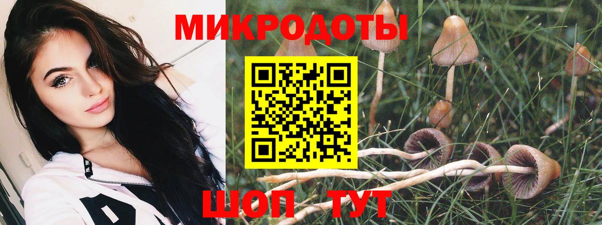 Псилоцибиновые грибы Psilocybe  хочу   Псилоцибиновые грибы Psilocybine cubensis  Сергиев Посад  Вход с VPN 